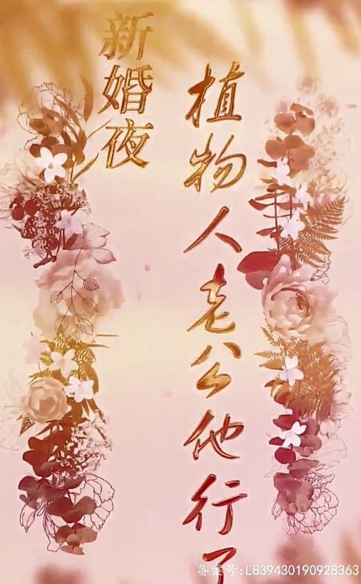 新婚夜，植物人老公他行了【1-4合集】