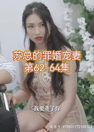 蘇總的罪婚寵妻【1-72合集】