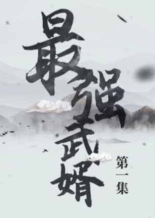 最強(qiáng)武婿