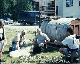 我家的野生動物第一季