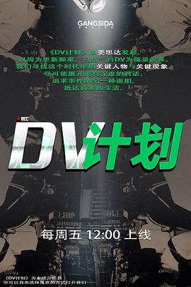 DV計(jì)劃