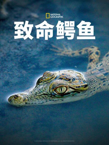 致命鱷魚