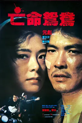 亡命鴛鴦 （1988)