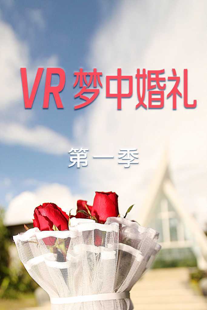 VR夢(mèng)中婚禮 第一季