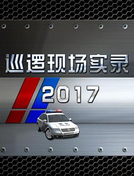 巡邏現場實錄2017